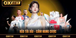 Kèo Tài Xỉu - Cẩm Nang Cược Cho Người Mới Hiểu Cách Tham Gia